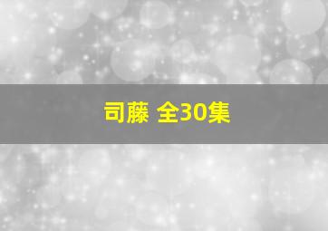 司藤 全30集